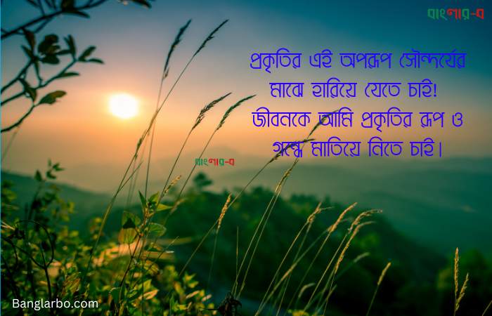 প্রকৃতি নিয়ে ক্যাপশন