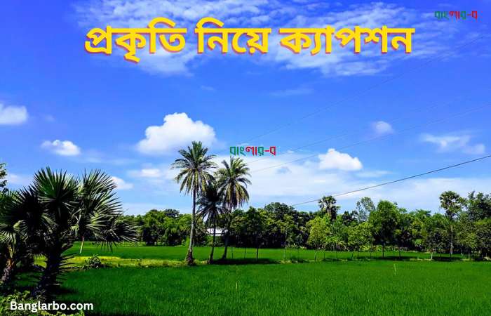 প্রকৃতি নিয়ে ক্যাপশন