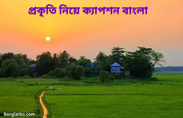 প্রকৃতি নিয়ে ক্যাপশন বাংলা