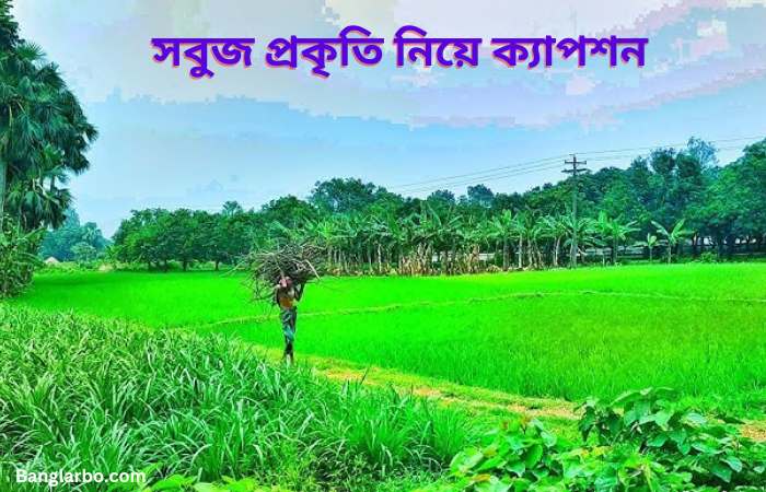 সবুজ প্রকৃতি নিয়ে ক্যাপশন